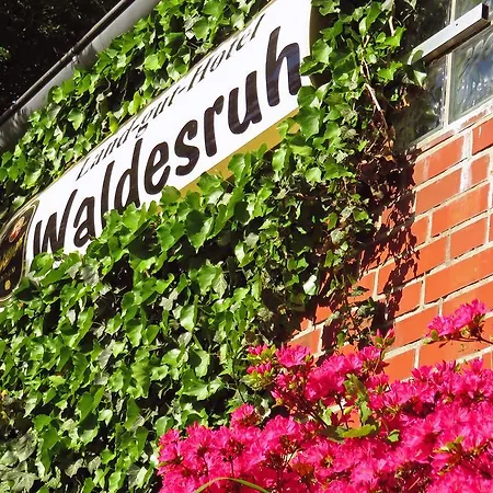 Land-gut-hotel Waldesruh מלון