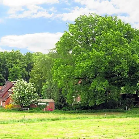 Land-gut-hotel Waldesruh Hotel Altenmedingen